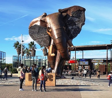 Valencia Bio Parc